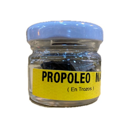 PROPOLEO NATURAL EN TROZOS TARRO 10 gr APICOLA PATIÑO CONIL CÁDIZ