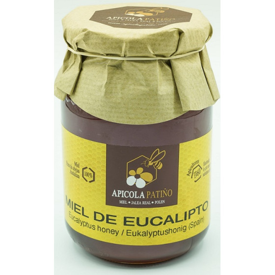 MIEL DE EUCALIPTO TARRO 500 gr APICOLA PATIÑO CONIL CÁDIZ