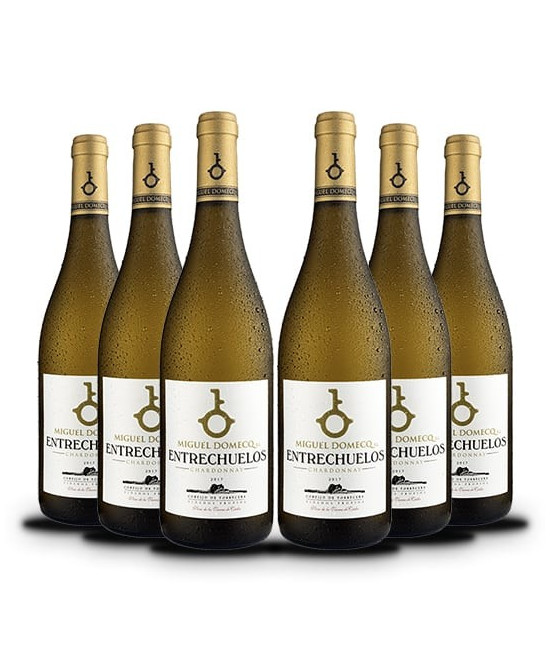 ENTRECHUELOS CHARDONNAY CORTIJO DE TORRECERA