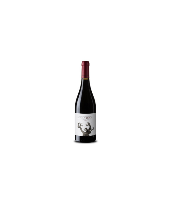 CARACEPA VINO TINTO SANTIAGO JORDI 