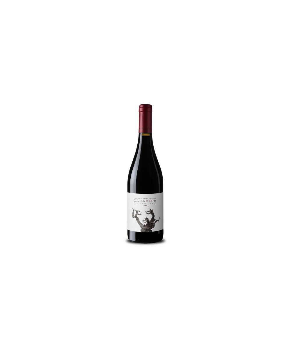 CARACEPA VINO TINTO SANTIAGO JORDI 