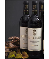 MATARROMERA VINO TINTO CRIANZA RIBERA DEL DUERO BOTELLA 75 cl
