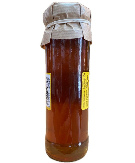 MIEL DE CASTAÑO GOURMET APÍCOLA PATIÑO 150 G – ARTESANAL DE CONIL (CÁDIZ)