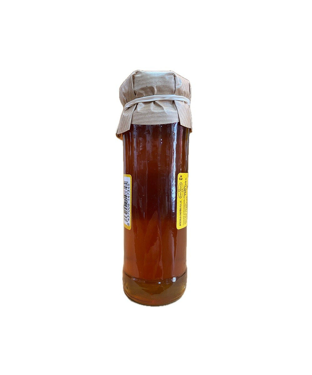 MIEL DE CASTAÑO GOURMET APÍCOLA PATIÑO 150 G – ARTESANAL DE CONIL (CÁDIZ)