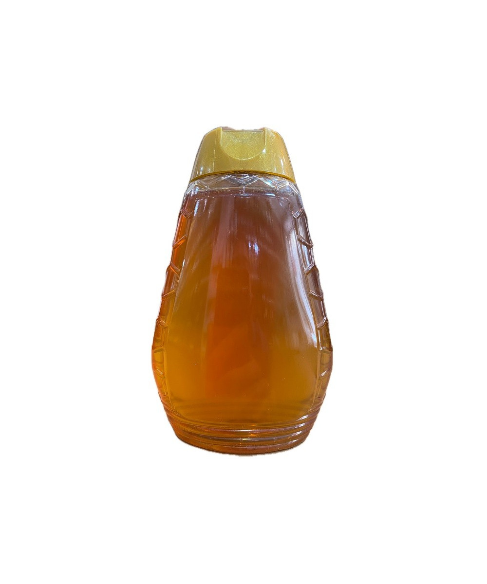 MIEL DE LAVANDA APÍCOLA PATIÑO 500 G – FORMATO ANTIGOTEO ARTESANAL DE CONIL (CÁDIZ)