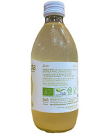 KOMBUCHA DE LIMÓN 33 CL | BEBIDA FERMENTADA ARTESANAL DE CONIL DE LA FRONTERA, CÁDIZ