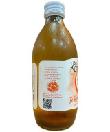BIO KOMBUCHA ARTESANAL TÉ ROJO PU ERH 33CL LA KOMBUCHERÍA