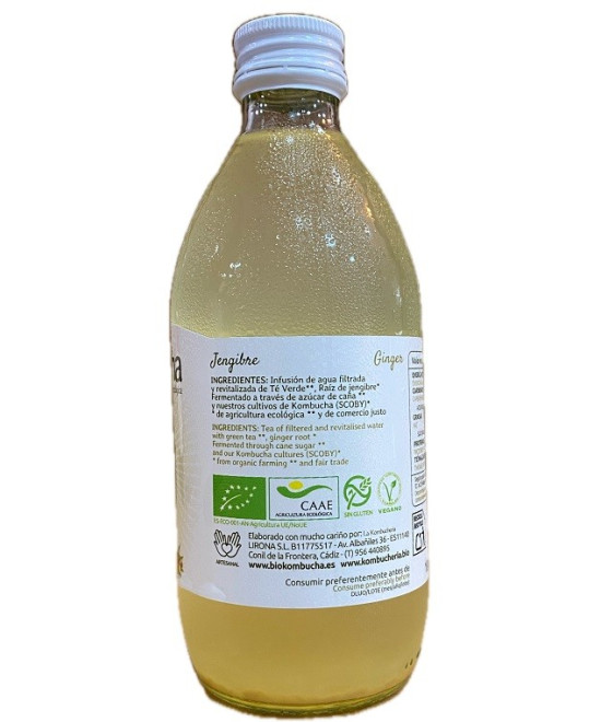 KOMBUCHA DE JENGIBRE 33 CL | BEBIDA FERMENTADA ARTESANAL DE CONIL DE LA FRONTERA, CÁDIZ