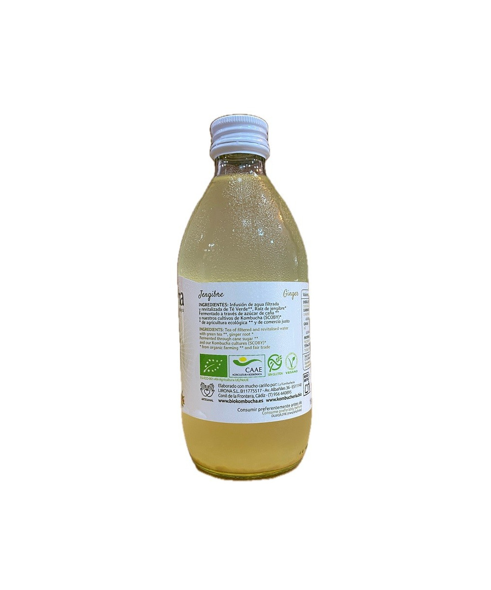 KOMBUCHA DE JENGIBRE 33 CL | BEBIDA FERMENTADA ARTESANAL DE CONIL DE LA FRONTERA, CÁDIZ