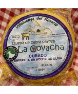 MINI QUESO DE CABRA CURADO EN ACEITE LA COVACHA 460g APROX