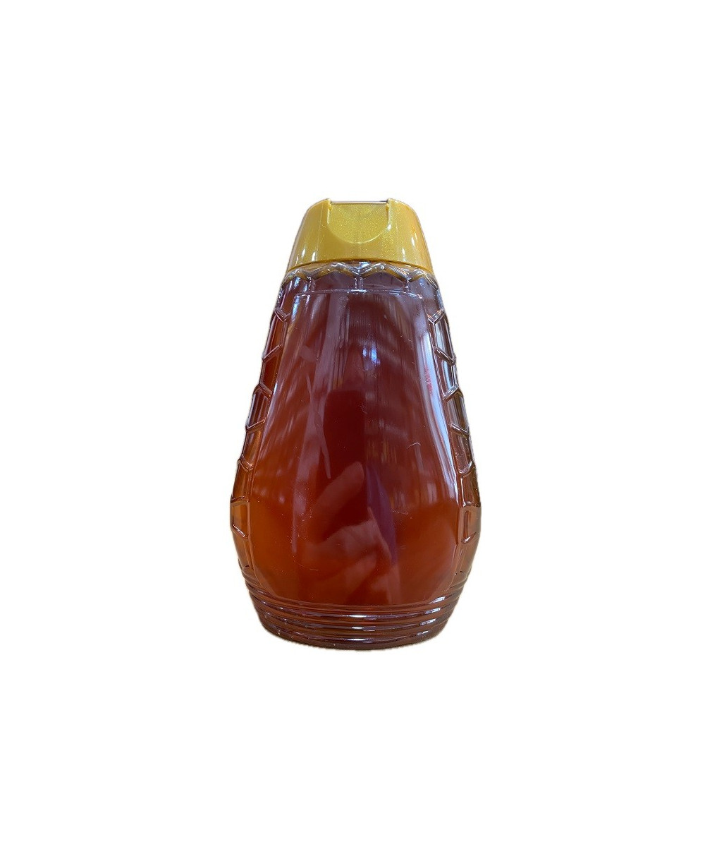 MIEL DE CASTAÑO APÍCOLA PATIÑO 500 G – ENVASE PLÁSTICO ANTIGOTEO ARTESANAL CONIL
