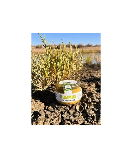 HUMMUS DE SALICORNIA LA SALÁ GOURMET TARRO 120G – SABOR ÚNICO DE CÁDIZ