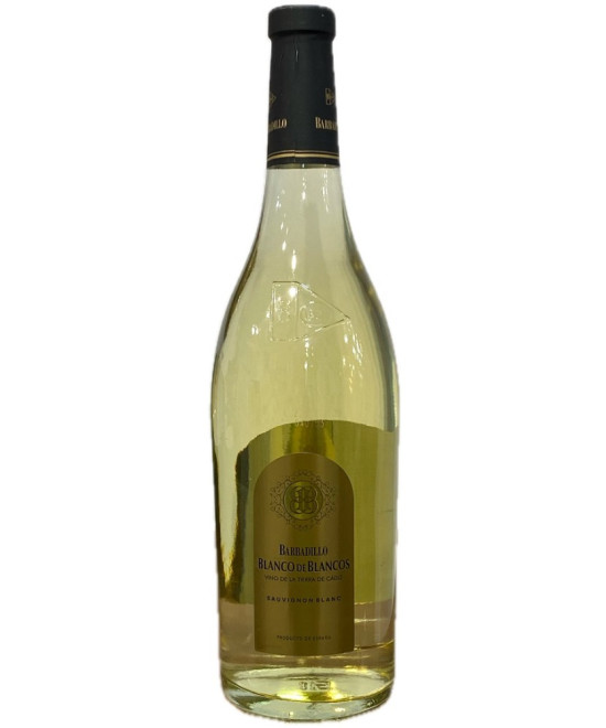 VINO BLANCO DE BLANCOS 75 CL – BODEGAS BARBADILLO (SAUVIGNON BLANC, TIERRA DE CÁDIZ)