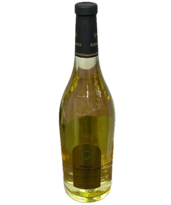 VINO BLANCO DE BLANCOS 75 CL – BODEGAS BARBADILLO (SAUVIGNON BLANC, TIERRA DE CÁDIZ)