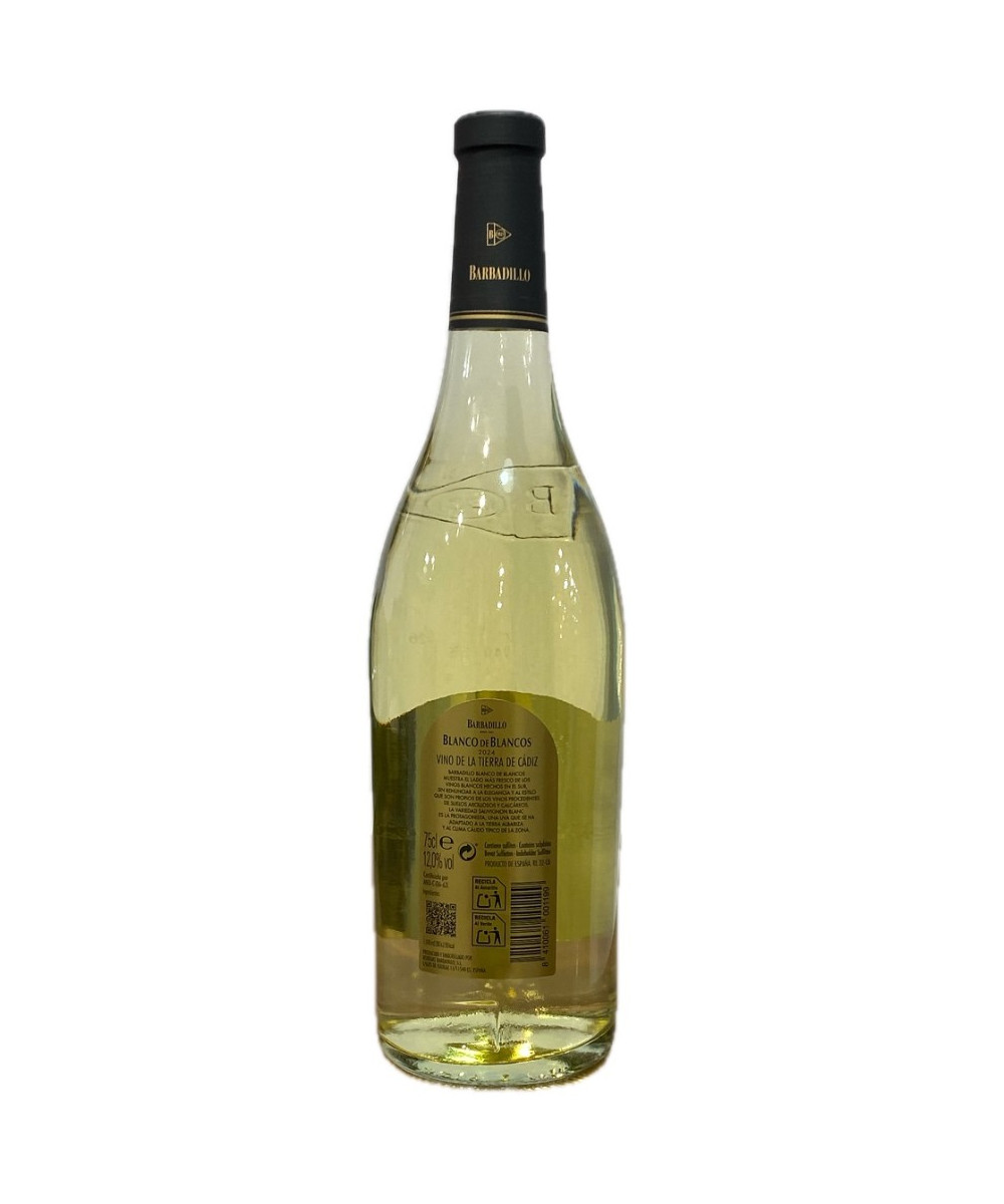 VINO BLANCO DE BLANCOS 75 CL – BODEGAS BARBADILLO (SAUVIGNON BLANC, TIERRA DE CÁDIZ)